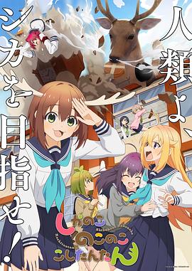日本一区不卡精品免费观看